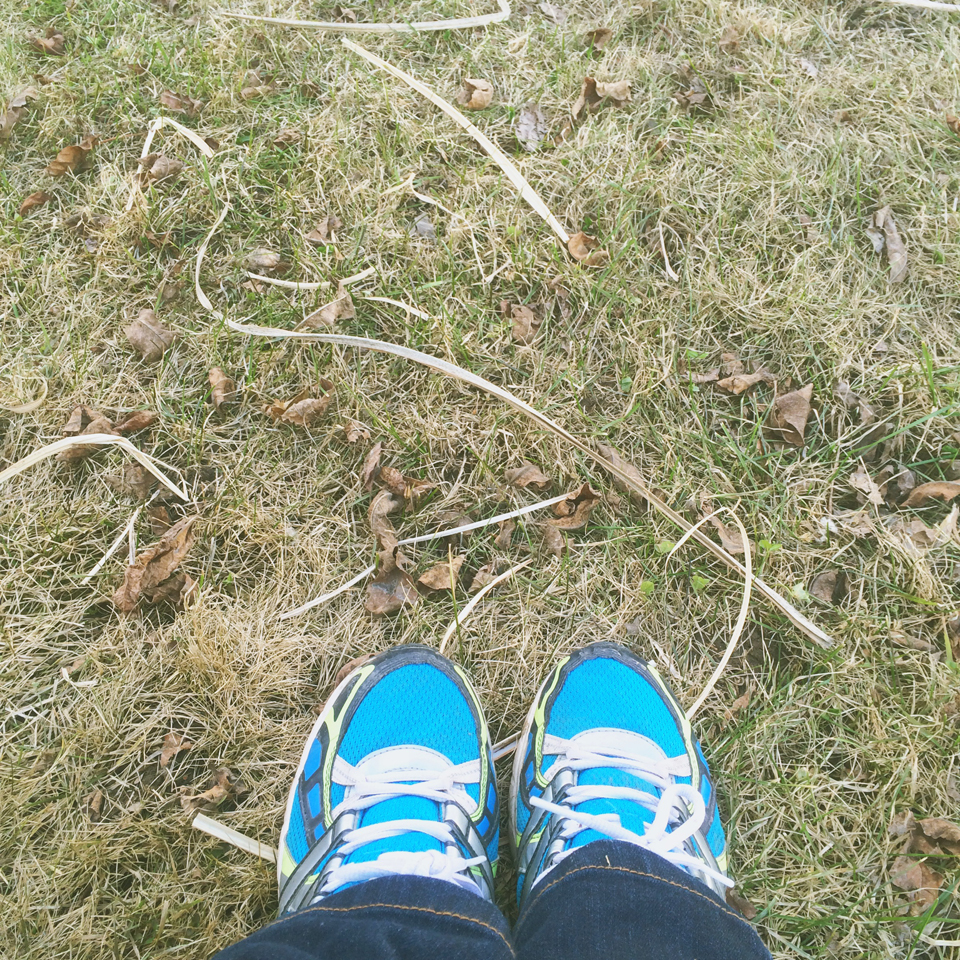 Winter grass strands